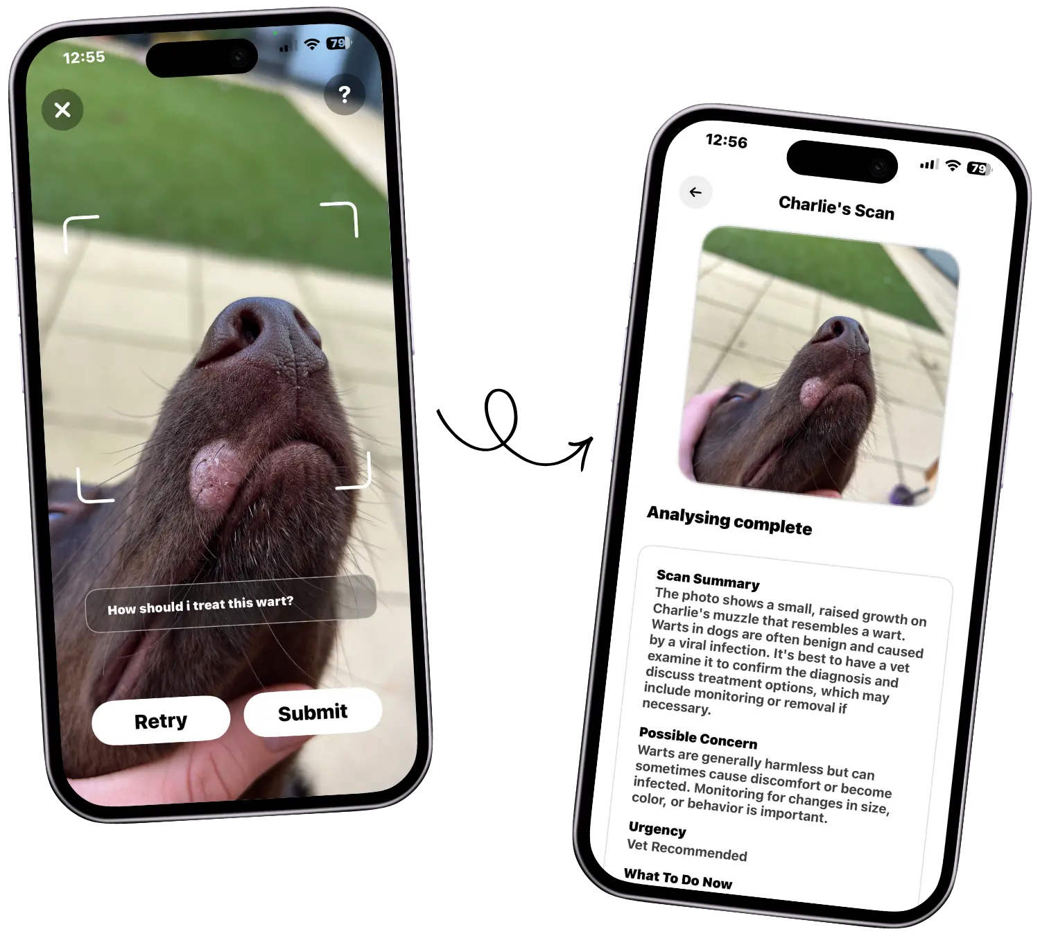 Pawgevity AI photo scan screen